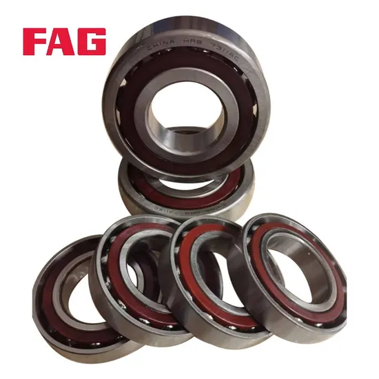 3203-Bd-XL-Tvh-C3 FAG Double Row Angular Contact Ball Bearing for Precision Machine Tools