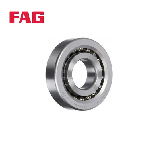 Double Row Angular Contact Ball Bearing 3302-Bd-XL-2hrs-Tvh FAG 2RS Seals for Machine Tools