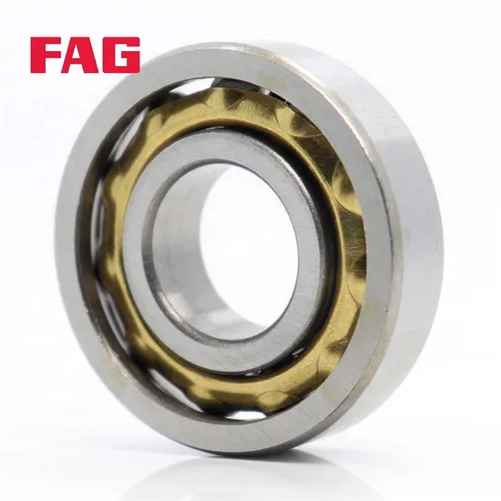 FAG 3303-B-Tnh Double Row Angular Contact Ball Bearing for Precision Machine Tools P5 Grade
